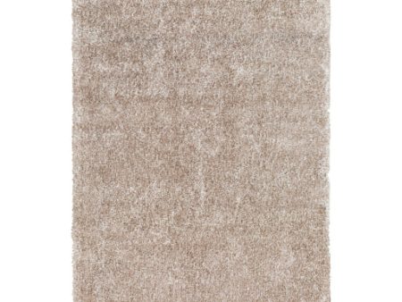 Retreat Awrt-1002 5 W x 8 L Rug Online Hot Sale