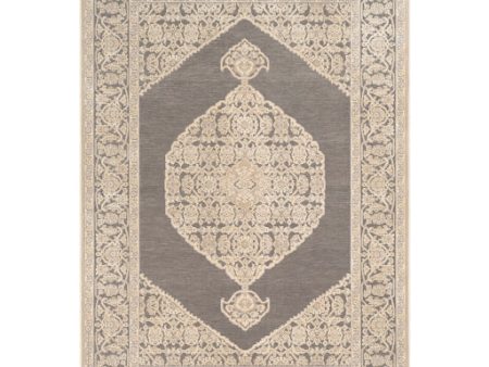 Aesop Asp-2316 Chenille-polyester Light Gray Rug in Various Sizes Sale