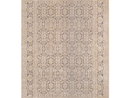 Aesop Chenille-polyester Light Gray Rug in Various Sizes For Cheap