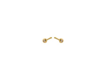 Astra Earsticks size 3 mm - Goldplated Sale