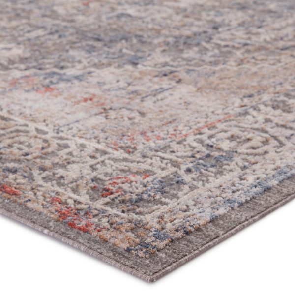 Raveen Power Loomed Gray Area Rug For Cheap