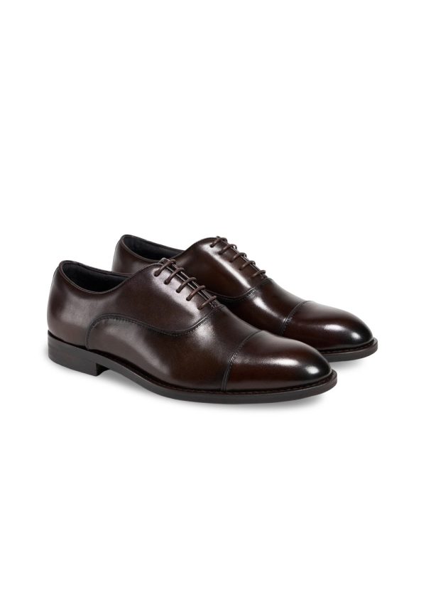 1020 - Dk Brown Online now