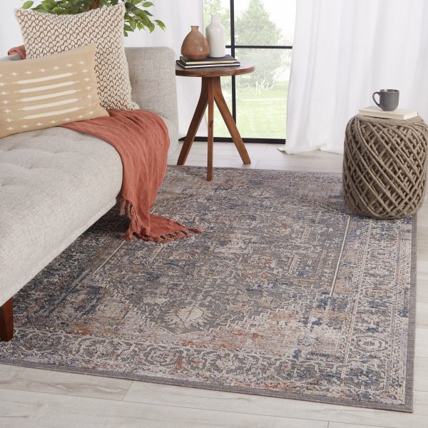 Raveen Power Loomed Gray Area Rug For Cheap