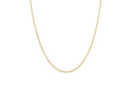 Anchor Chain - Gold-Plated Silver Online