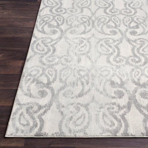 Aberdine Medium Gray Rug in Various Sizes on Sale