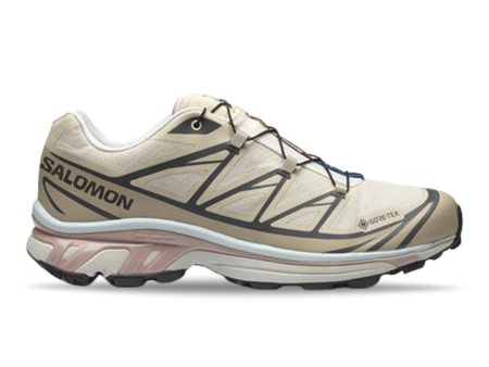 XT-6 GORE-TEX - Almond Milk   Feather Gray   Pale Mauve Hot on Sale